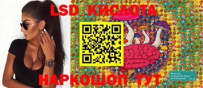 ПСИЛОЦИБИНОВЫЕ ГРИБЫ Аргун