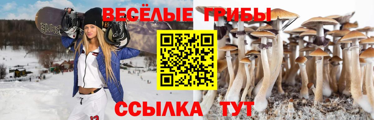 Псилоцибиновые грибы мицелий Ачхой-Мартан
