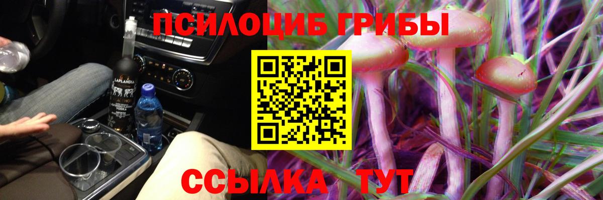 Галлюциногенные грибы GOLDEN TEACHER  Вход с VPN  Ачхой-Мартан 