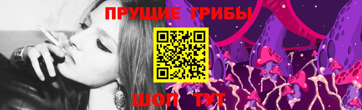 Псилоцибиновые грибы прущие грибы Ачхой-Мартан