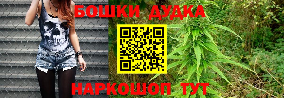 Марихуана гибрид  Конопля марихуана  Ачхой-Мартан  Шишки марихуана сатива 